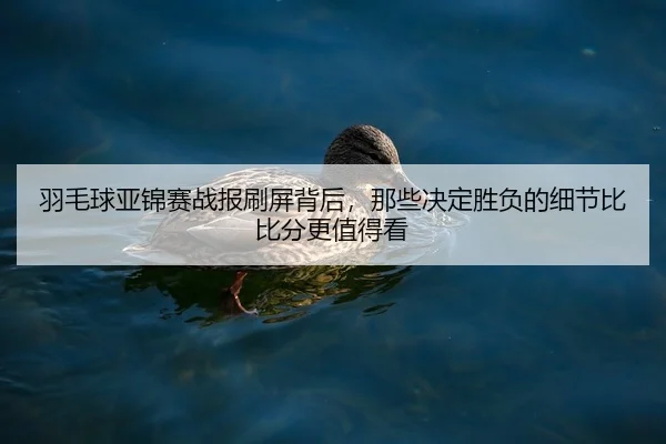 羽毛球亚锦赛战报刷屏背后，那些决定胜负的细节比比分更值得看